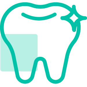 Dental Treatment 1 Braces and Aligner