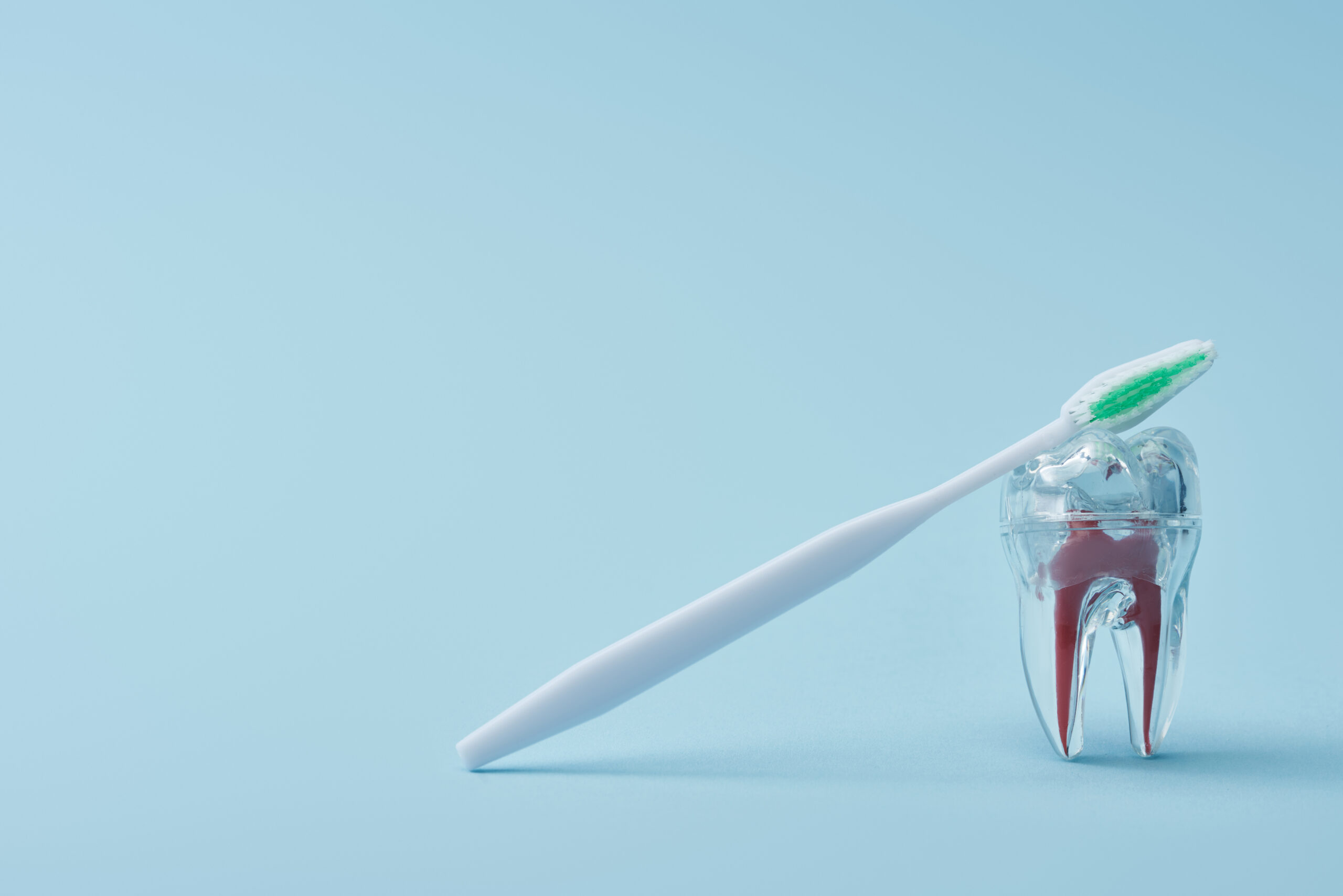 plastic white toothbrush and artificial transparen 2024 11 07 17 21 19 utc scaled
